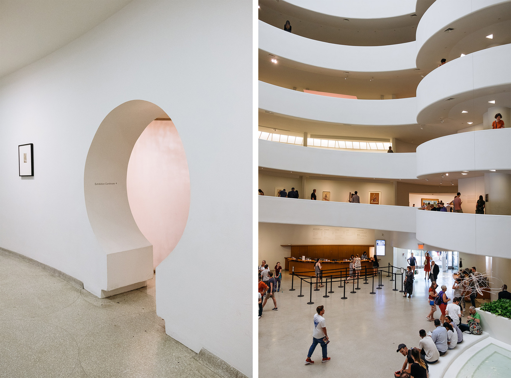 The Guggenheim Museum in New York