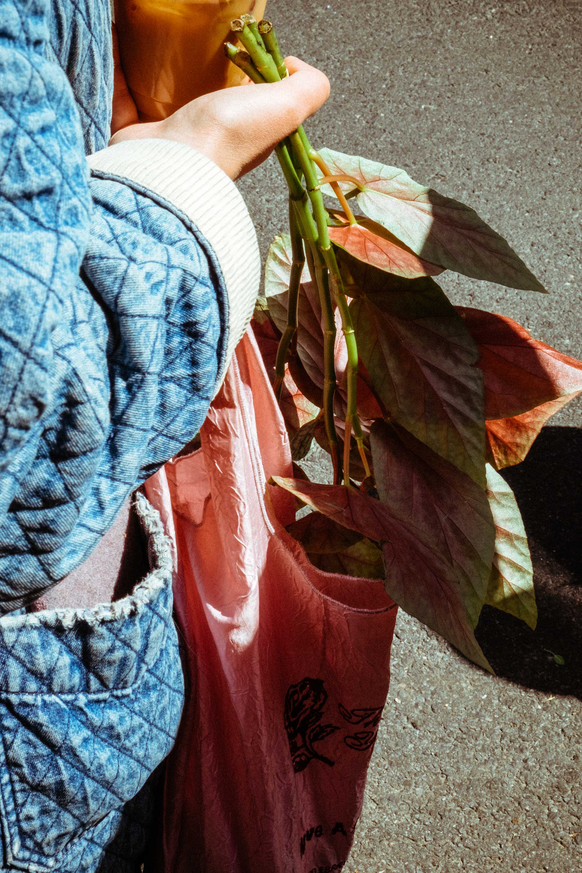 Florist Brittany Asch shops for flowers on 28th street in New York