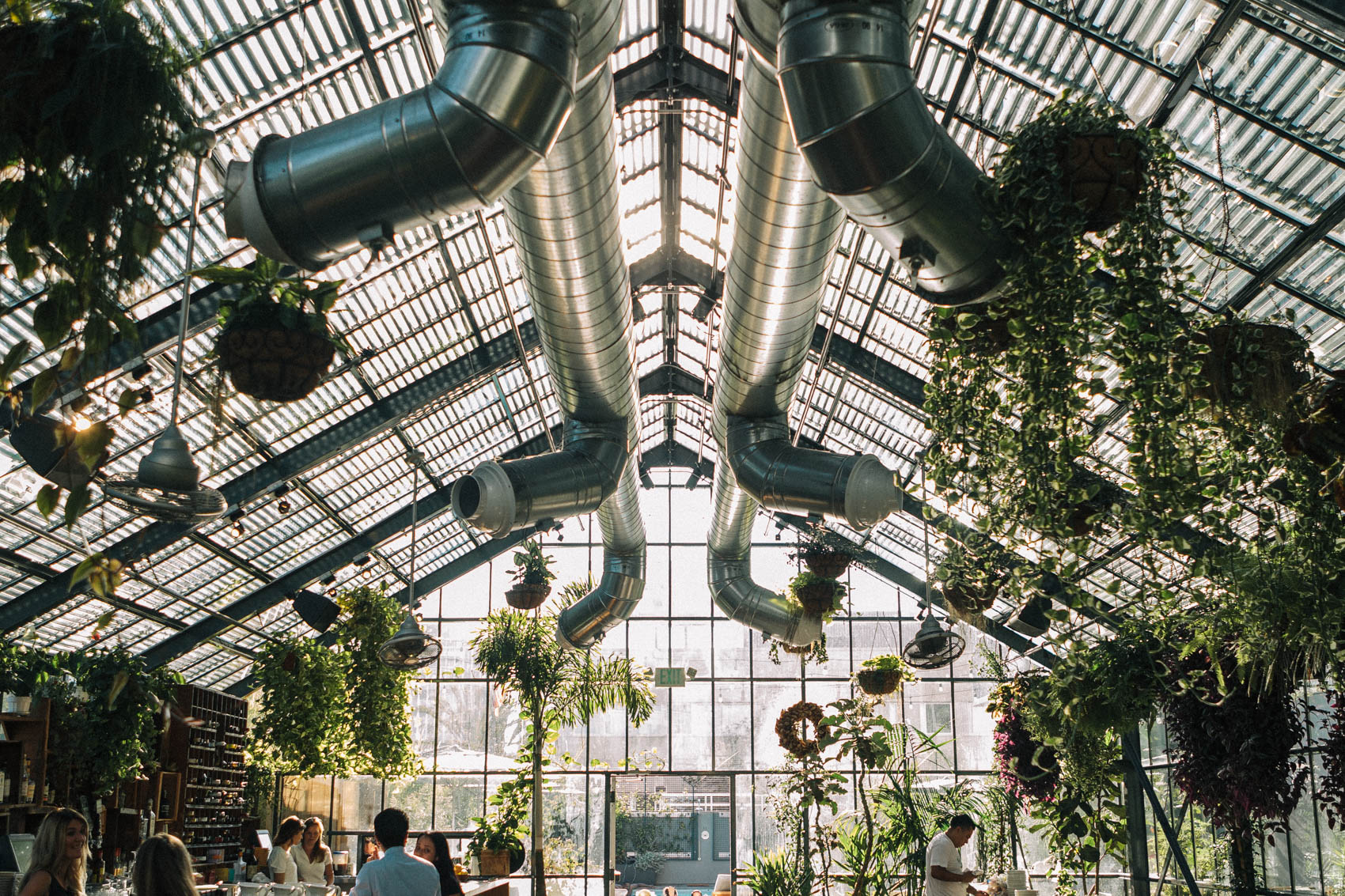 Greenhouse like interior of the Commissary restaurant in The Line Hotel in Los Angeles