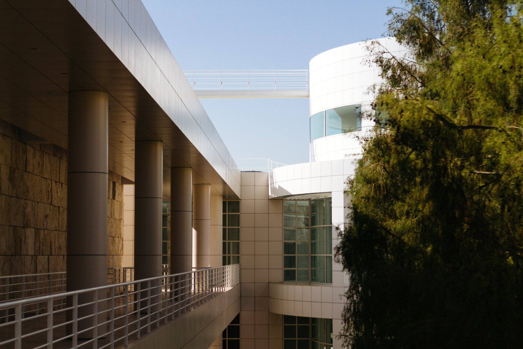 The Getty Museum has amazing vegetation